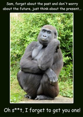 Forgetful Gorilla Humorous Card Front