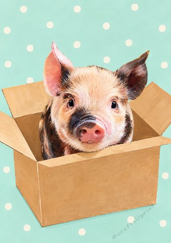 Cute Pig New Home Card