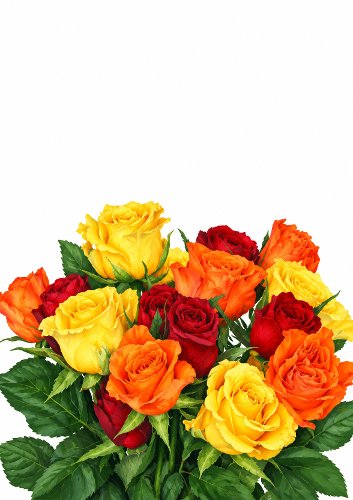 Stunning Rose Bouquet