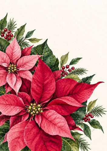 Christmas Poinsettia Card