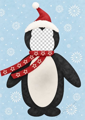 Christmas Penguin Photo Card