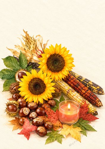 Autumn Harvest