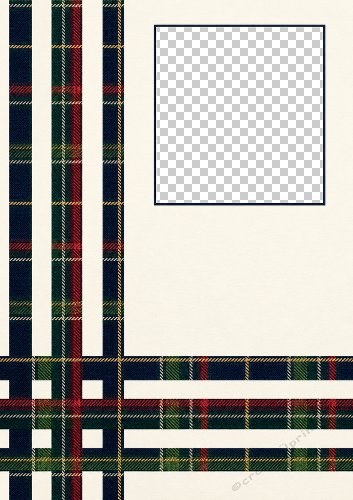 Tartan Day Aperture Card