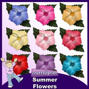 Summer Flowers