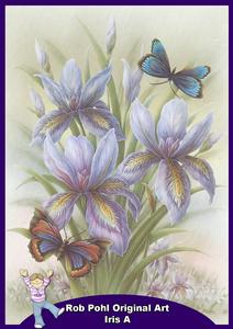 Rob Pohl Original Iris A