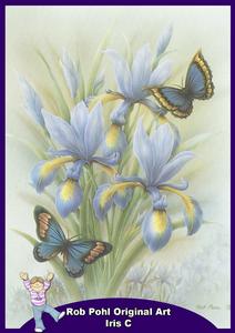 Rob Pohl Original Iris C