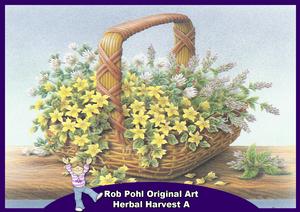 Rob Pohl Original Art Herbal Harvest A
