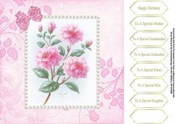 Garden Favourites 8x8 Female Birthday Card