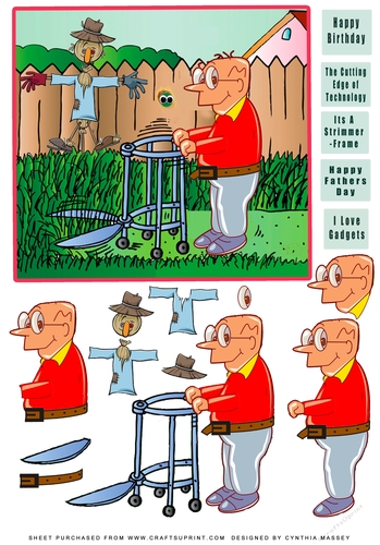 I love my Strimmer Frame - decoupage