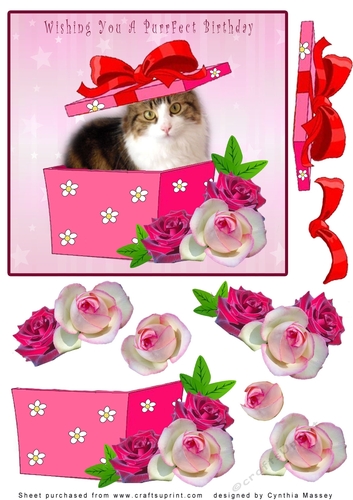 Wishing you a PurrFect Birthday