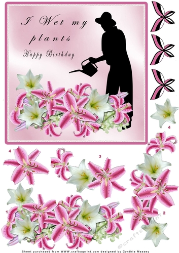 I Wet My Plants - Decoupage