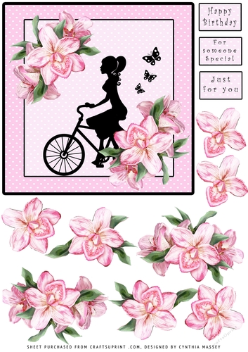 Girl on Bike - Decoupage