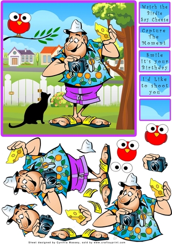 Photographer Watch the Birdie Say Cheese - Decoupage