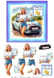 Youve Passed Female - Decoupage