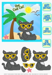 Cool Cat 1