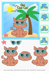 Cool Cat 2