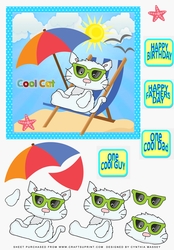 Cool Cat 4