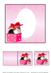 Wishing you a PurrFect Birthday - Insert