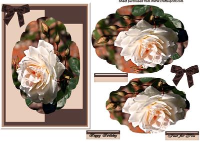 Rose Scallop Edge Pryamage
