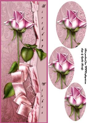 Pink Rose Dl