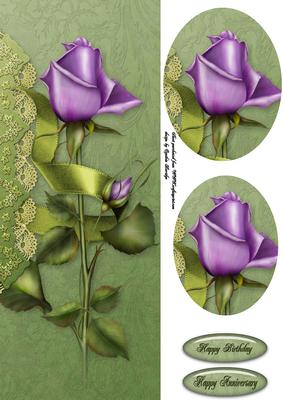 Lavender Rose Dl