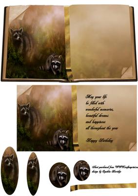 Racoon Mother and Baby Book