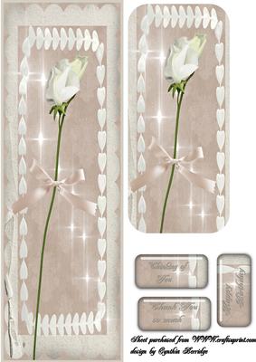 Sweet Pea Dl