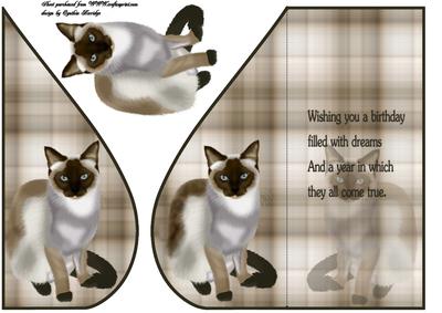 Sealpoint Cat Teardrop