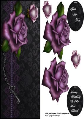 Purple Rose Dl