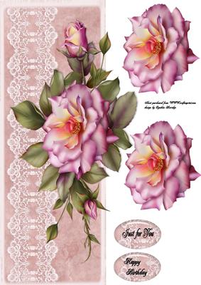 Pink Roses and Lace Dl