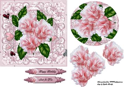 6x6 Pink Roses