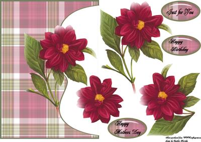 Red Dahlia