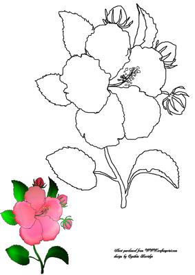 Flower Digital Stamp