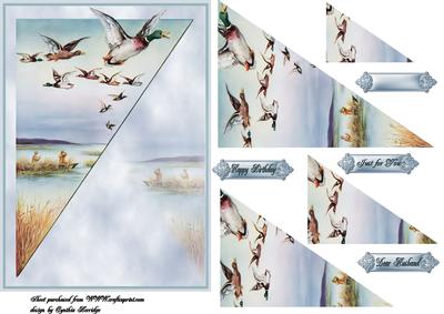 Lake Scene Flying Ducks