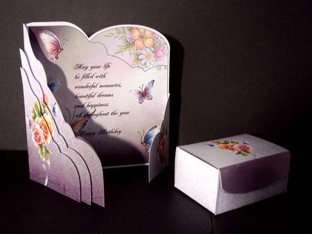 Butterflies Wraparound Card Kit