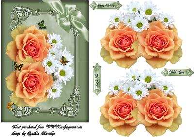 Peach Roses with Bow Card