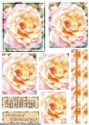 Watercolour Rose