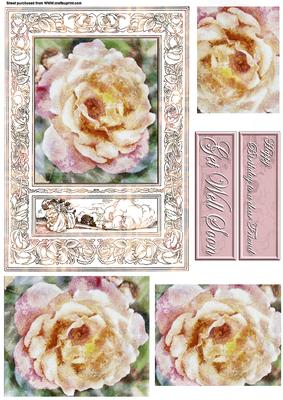 Floral Framed Rose