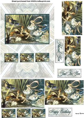 Fairies and Waterlilies