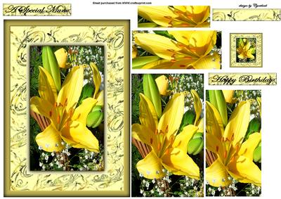 Yellow Lily in the Sunlight
