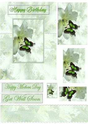 Mint Green Butterfly Card