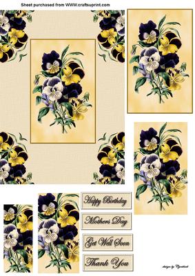 Pansy Pryamage Card