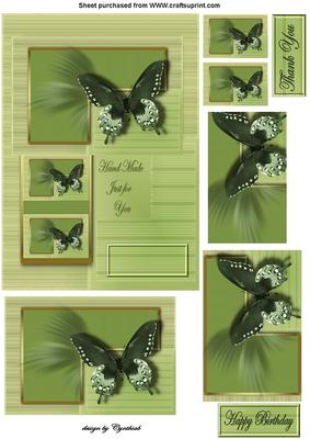 Fragile Wings Butterfly