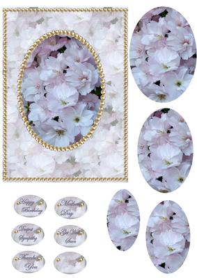 Blossom and Pearls