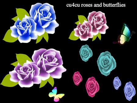 Roses and Butterflies