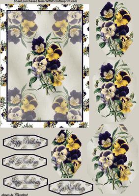 Purple and Yellow Pansies