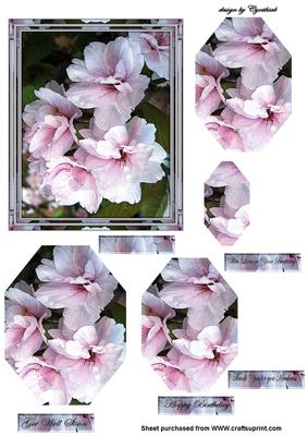 Pink Blossom