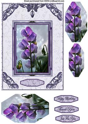 Vintage Frame Sweetpea