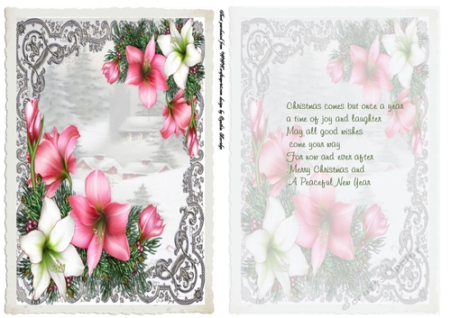 Christmas flower card and insert