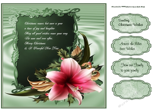 Christmas amaryllis quick card